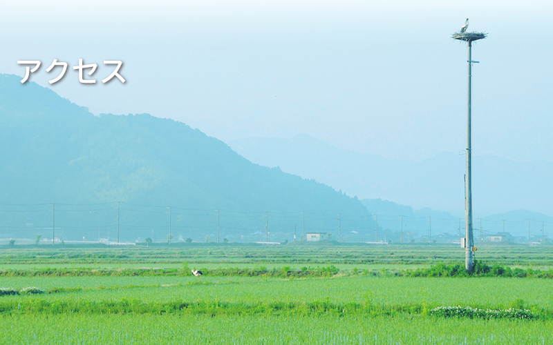 アクセス