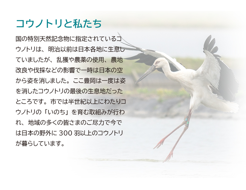 コウノトリと私たち